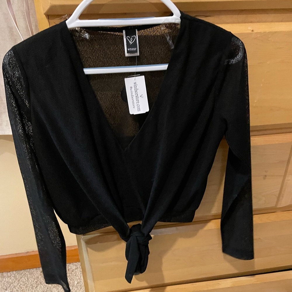 Windsor sheer long sleeve top